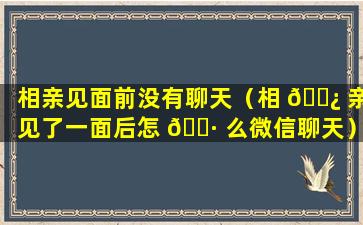 相亲见面前没有聊天（相 🌿 亲见了一面后怎 🌷 么微信聊天）